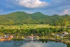 91麻豆精品91久久久久-走近91麻豆精品，在数字时代优雅的娱乐之舞