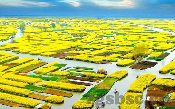 91麻豆精品国产综合久久久_亚洲综合久-国产综合影视的丰富多样性与亚洲文化体验——91麻豆精品国产综合久久久的多元魅力的深度感悟