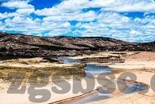 大象视频导航回家-神奇的旅程，大象视频导航回家的奇迹