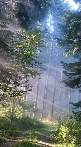 国产日韩av一区二区-国产日韩AV一区二区，文化差异与市场观察