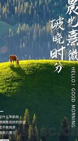 伦理在线电影-伦理视角下的在线电影，平衡艺术表达与道德规范