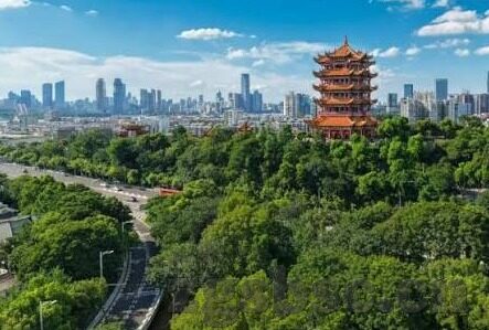 麻豆传媒视频-深度观察，数字浪潮下的视听新貌与内容创作——以麻豆传媒视频为例