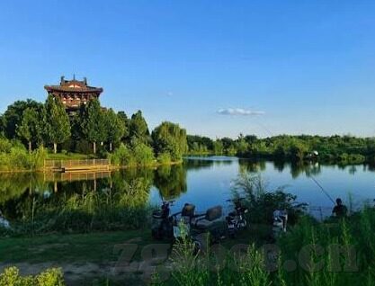 麻豆视频去哪看-探索麻豆视频精彩时刻——正确指南
