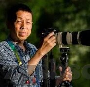麻豆tv传媒-感受艺术与内容的碰撞，麻豆TV传媒案例分析