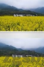 麻豆影视文化传媒网站-麻豆影视文化传媒，引领影视艺术与文化融合的新风尚